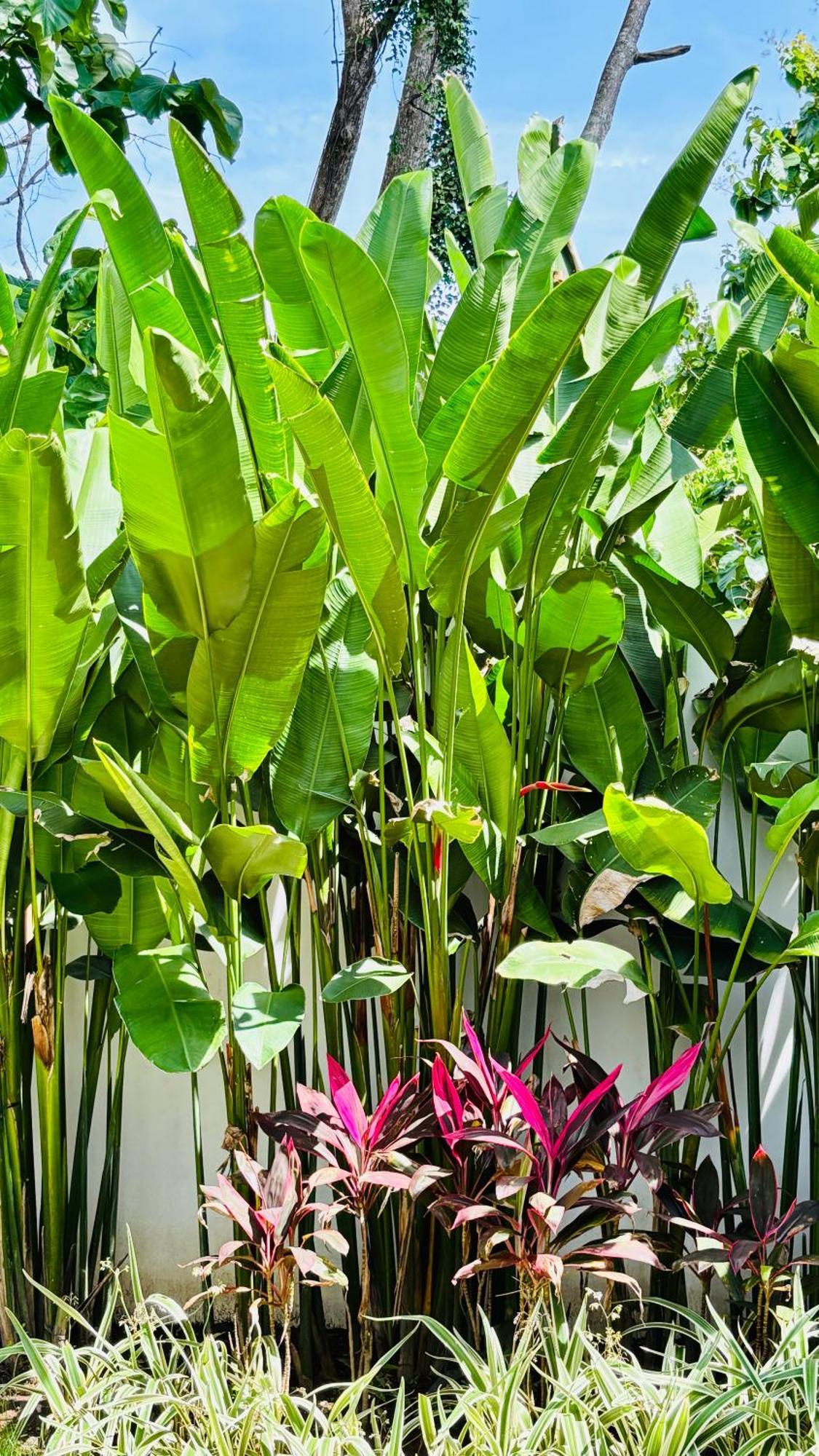Mantra Wellness Center Hotel Uluwatu  Ngoại thất bức ảnh